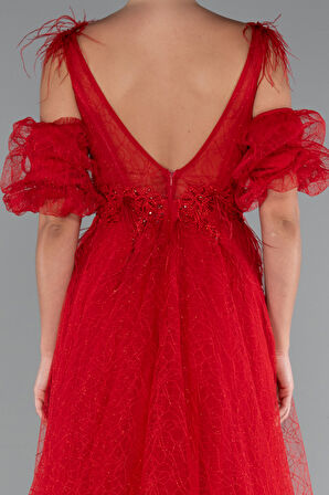 Üstü İşlemeli Kol Aksesuarlı Uzun Nişan Elbisesi ABU5052