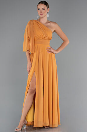 Tek Kol Yırtmaçlı Uzun Şifon Abiye ABU5259