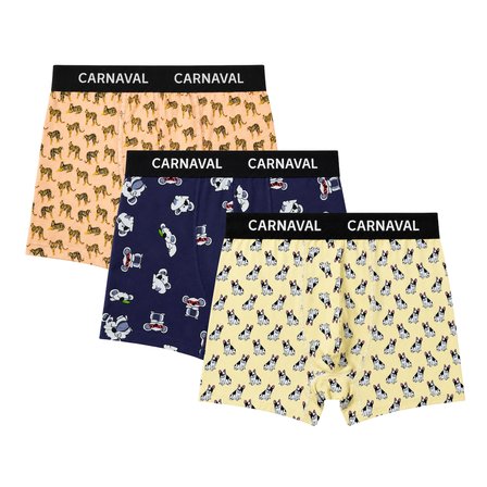Carnaval Animal Crew Erkek Boxer 3’lü Set