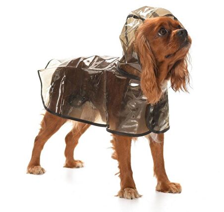 Köpek Küçük ve Orta Irk Yağmurluk Otso Şeffaf Siyah