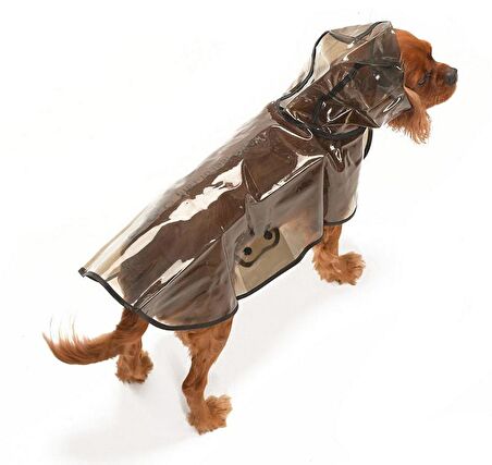 Köpek Küçük ve Orta Irk Yağmurluk Otso Şeffaf Siyah