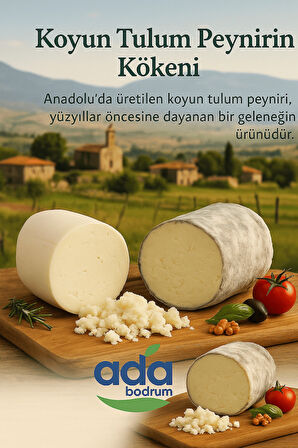 Koyun Tulum Peynir 1000 Gr