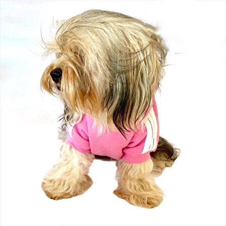 Pembe Adidog Kapşonlu Köpek Sweatshirt Köpek Kazağı