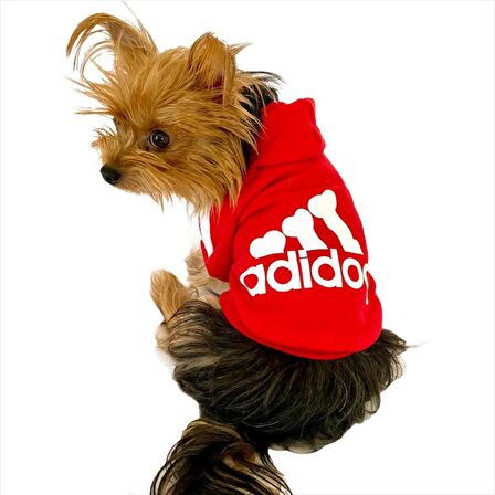 Kırmızı Adidog Kapşonlu Köpek Sweatshirt Köpek Kazağı