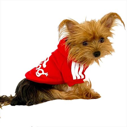 Kırmızı Adidog Kapşonlu Köpek Sweatshirt Köpek Kazağı