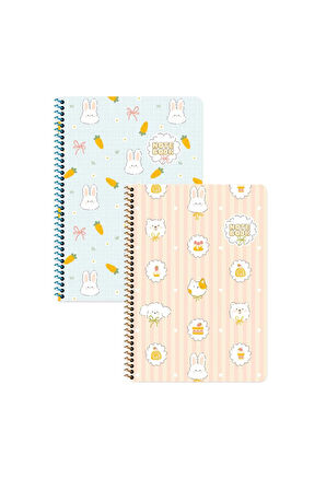 Keskin Color Kawaii Çizgili Stickerli Defter Seti 2 Adet | 16,5 x 22,5 cm | Spiralli – 80 Yaprak