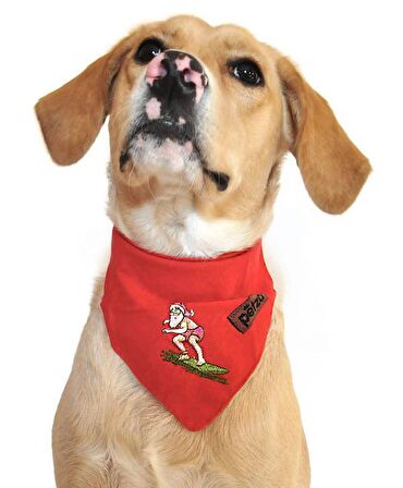 Köpek Bandana / Pamuya