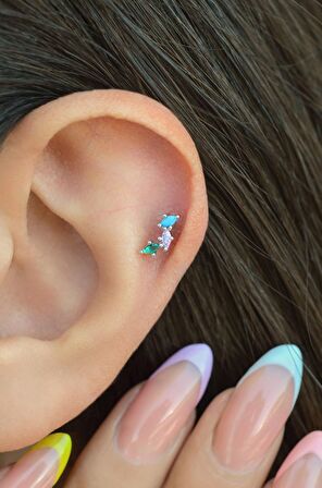 Silver Arkası Düz Çelik Silver Arkası Düz Çelik Çok Renkli Tragus Piercing Helix Lob Kıkırdak