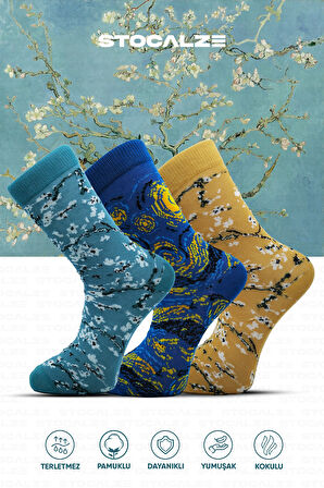 Stocalze Pamuklu Sanat Temalı Soket Çorap. Gece Badem Ağacı Desenli Van Gogh Temalı 5'li Kutulu Çorap Seti.