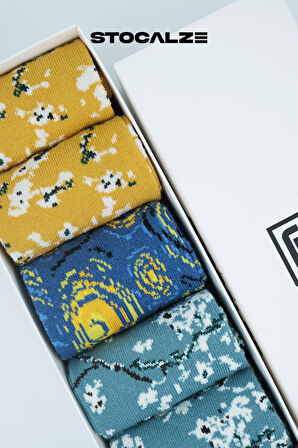 Stocalze Pamuklu Sanat Temalı Soket Çorap. Gece Badem Ağacı Desenli Van Gogh Temalı 5'li Kutulu Çorap Seti.