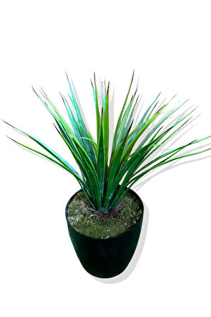 Yapay Agave Bitkisi 60 cm