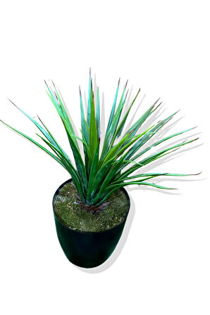 Yapay Agave Bitkisi 60 cm