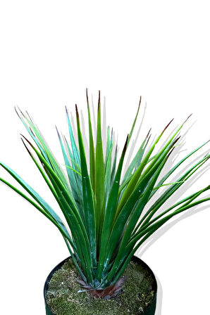 Yapay Agave Bitkisi 60 cm