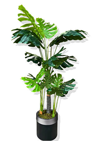 Monstera Yapay Ağaç 3 Gövde 170-175 Cm