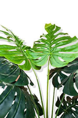 Monstera Yapay Ağaç 3 Gövde 170-175 Cm