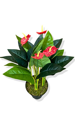 Yapay Bitki Antoryum 80-85 Cm