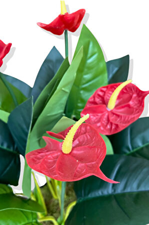 Yapay Bitki Antoryum 80-85 Cm