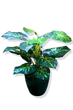 Yapay Bitki Alocasia 75-80 Cm
