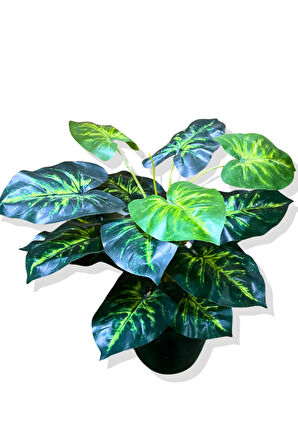 Yapay Bitki Alocasia 75-80 Cm