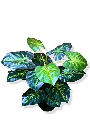 Yapay Bitki Alocasia 75-80 Cm