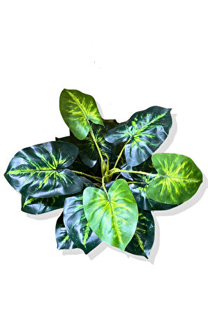 Yapay Bitki Alocasia 75-80 Cm