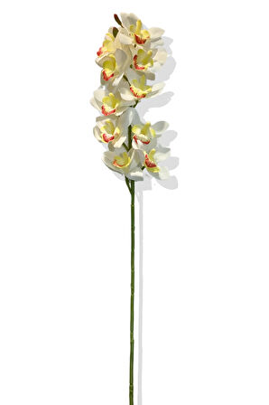 Yapay Tek Dal Manolya Kafa Islak Orkide 80 Cm