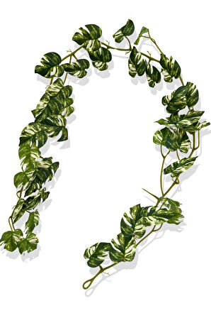 Yapay Zincir Sarmaşık 175 Cm