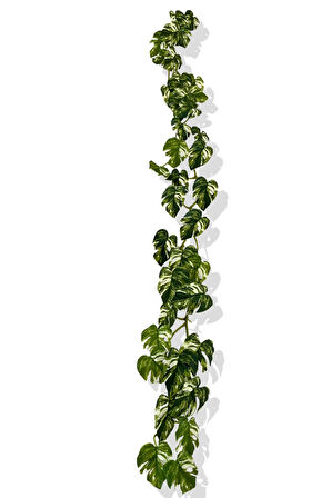 Yapay Zincir Sarmaşık 175 Cm