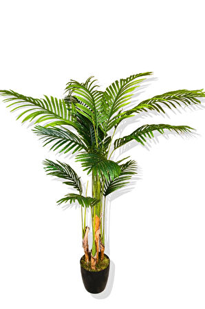 4 Gövde Areka Yapay Ağaç 170-180 Cm