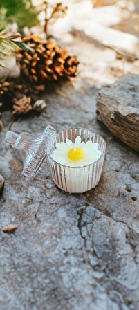 MİKA ŞEKERLİK İÇERİSİNDE KOKULU PAPATYA MUM