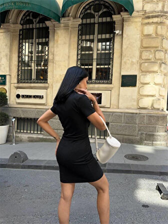 Aesco POLO YAKA YAKA KEMER DETAYLI KALEM ELBİSE - Siyah