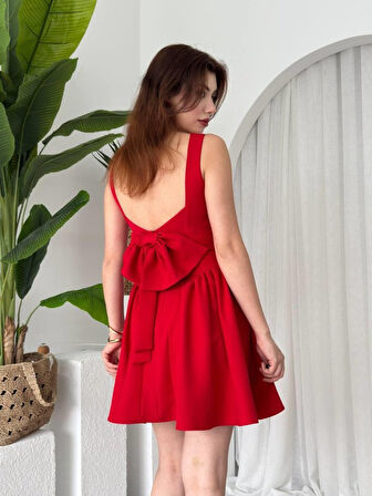 Aesco Dreas Fiyon Detaylı Elbise