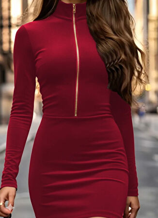 Aesco Kadın Uzun Kollu Balıkçı Yaka Yakadan Göğüse Kadar Fermuar Detaylı Mini Kadife Elbise