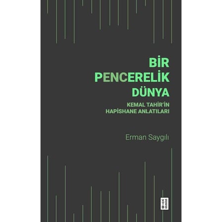 Bir Pencerelik Dünya