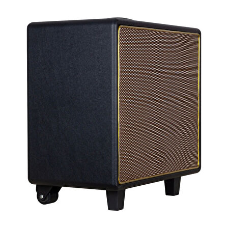 Shıle Gt-10 El Mikrofonlu Usb/sd/bt/fm Taşınabilir Hoparlör