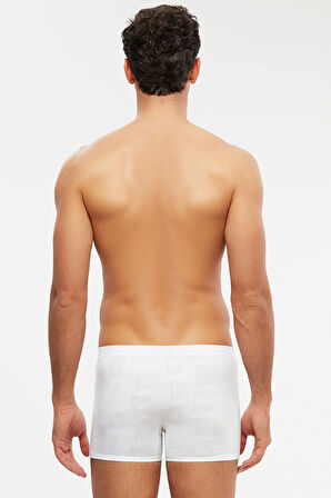 Kom Andrea Erkek  Boxer