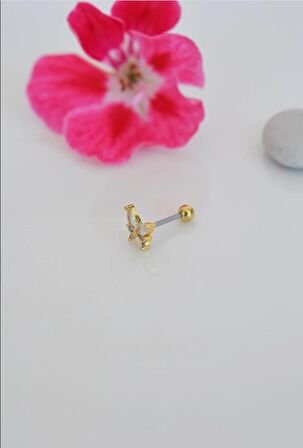 Zirkon Gold Kelebek Helix Piercing Kıkırdak Lob