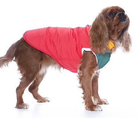 Küçük ve Orta Irk Köpek Mont Murpota Kırmızı