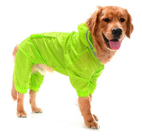 Büyük Irk Paçalı Köpek Yağmurluk - Baggi Yeşil