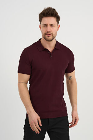 ALEXANDERGARDI Polo Yaka Düğmeli Triko T-shirt (50024)