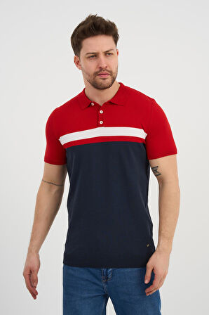 ALEXANDERGARDI Polo Yaka Düğmeli Renk Bloklu Triko T-shirt