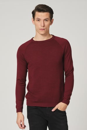 ALEXANDERGARDI BİSİKLET YAKA REGULAR FİT KAZAK (E20-5112 02)