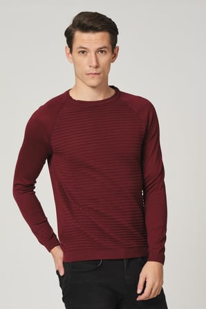 ALEXANDERGARDI BİSİKLET YAKA REGULAR FİT KAZAK (E20-5112 02)