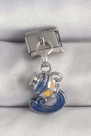 316L Çelik Gümüş Renk Sallantı Kova Burç Model Nomination Charm 5886