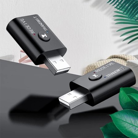 Northcity 2'si 1 Arada Bluetooth 5.0 Mini USB Adaptör + FM Verici - Araba ve Bilgisayar için Kablosuz Ses Aktarıcı