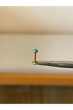 316 L Cerrahi Çelik Doğal Taş Turkuaz Taşlı Altın Renk Tragus Helix Kıkırdak Piercing