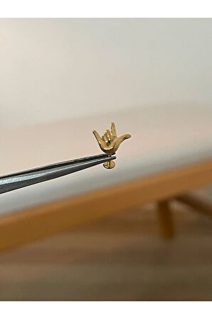 316 L Cerrahi Çelik Dudak Kıkırdak Helix Tragus Piercingi El Detaylı Detaylı Piercing