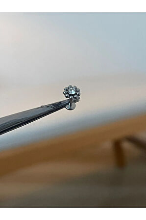 316 L Cerrahi Çelik Tek Taş Güneş Modeli Dudak Kıkırdak Helix Tragus Piercingi