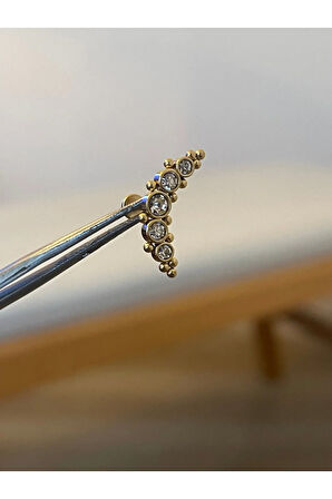 316 L Cerrahi Çelik Zirkon Taşlı Gold Conch Kıkırdak Helix Tragus Piercingi