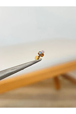 316 L Cerrahi Çelik 3 Taşlı Conch Kıkırdak Helix Dudak Tragus Piercingi